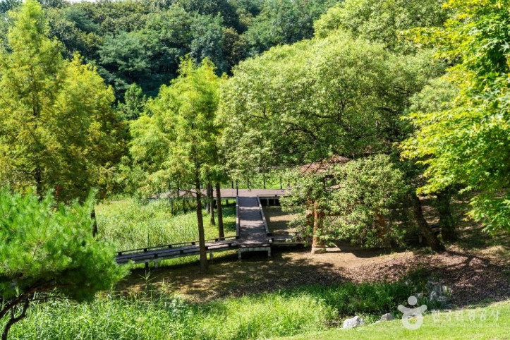 추동인공생태습지 여행 추천 - 메고지고