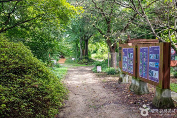 청하향교 여행 추천 - 메고지고