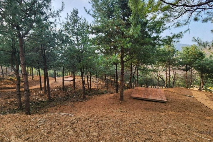 자일산림욕장 여행 추천 - 메고지고