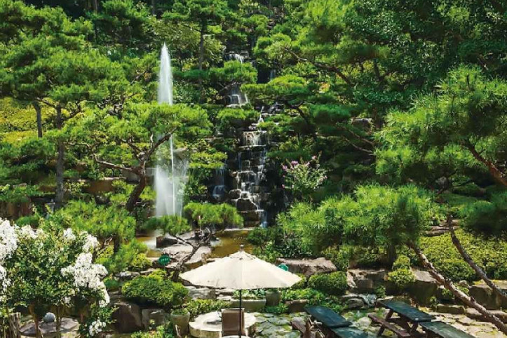 대한수목원 여행 추천 - 메고지고