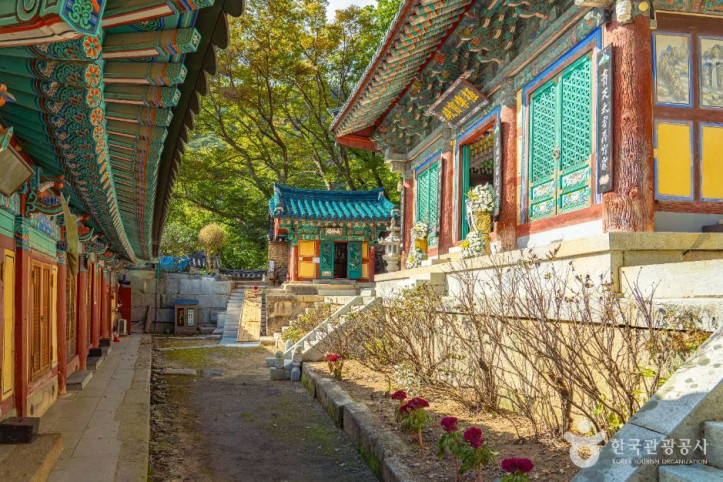 복천암(보은) 여행 추천 - 메고지고