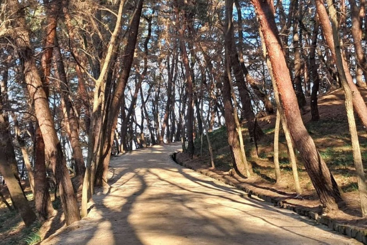 부소산 여행 추천 - 메고지고