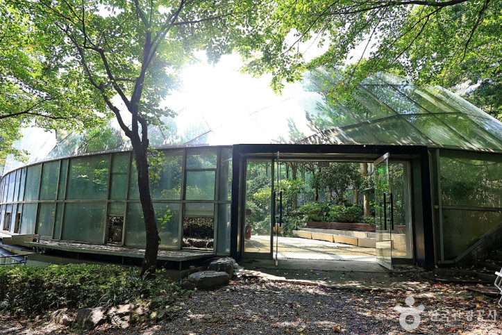 신구대학교식물원 여행 추천 - 메고지고