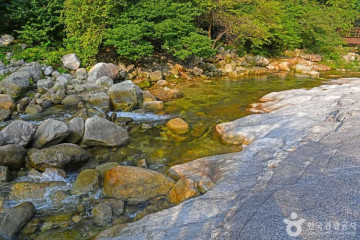 회덕마을 여행 추천 - 메고지고