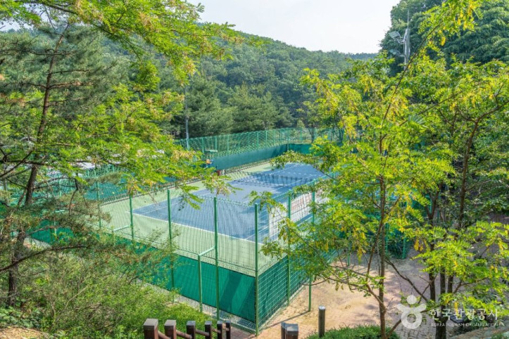 성주산생활체육공원 여행 추천 - 메고지고