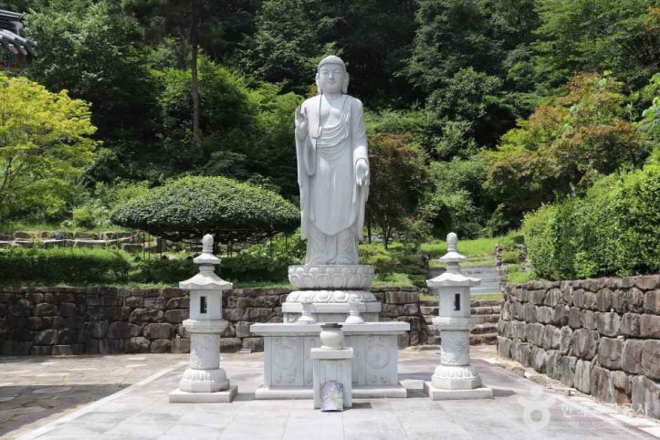 학림사(세종) 여행 추천 - 메고지고
