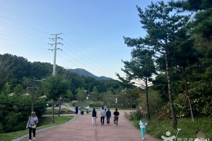 초막골생태공원 여행 추천 - 메고지고