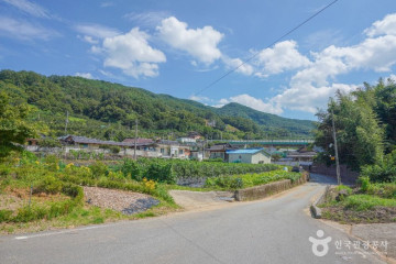 태안사 여행 추천 - 메고지고