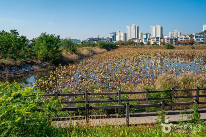 나불지 생태공원 여행 추천 - 메고지고
