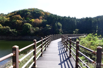 국립장성치유의숲 여행 추천 - 메고지고