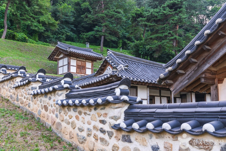 보은풍림정사 여행 추천 - 메고지고