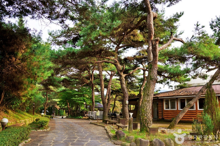 보광산관광농원 여행 추천 - 메고지고