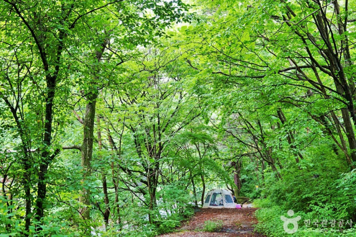 덕동계곡 여행 추천 - 메고지고