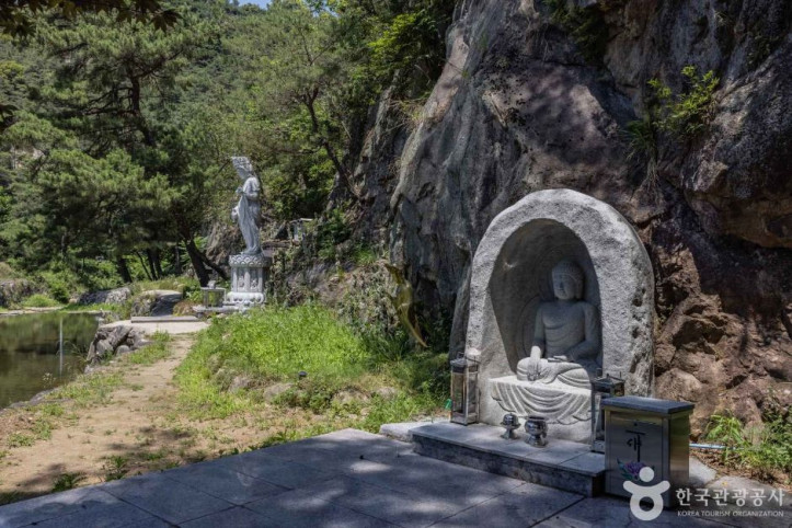 동화사(충북) 여행 추천 - 메고지고