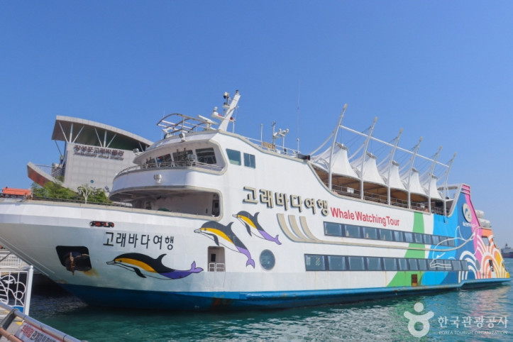 장생포 고래바다여행선 여행 추천 - 메고지고