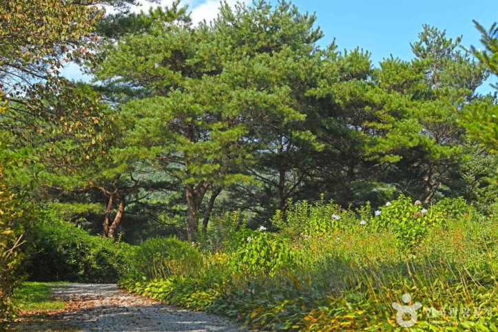 척야산 문화수목원 여행 추천 - 메고지고
