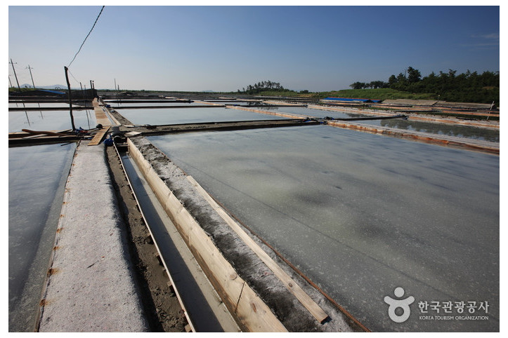 신안 비금도 대동염전 여행 추천 - 메고지고