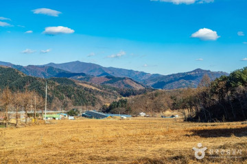 알파카 체험카페 마추픽추 여행 추천 - 메고지고