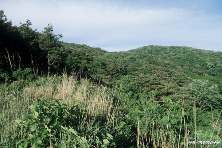 서운산성 여행 추천 - 메고지고