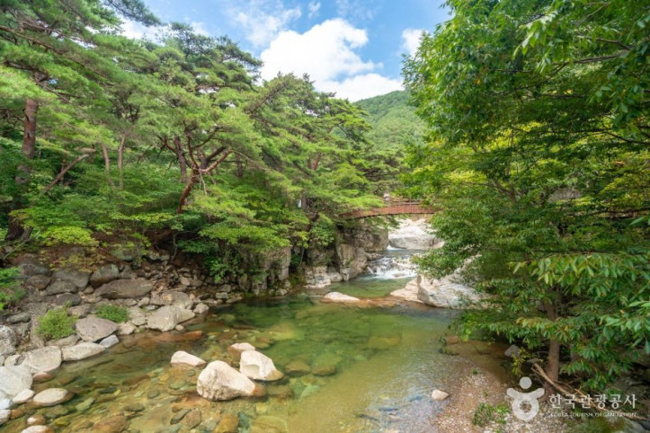 홍류동계곡 여행 추천 - 메고지고
