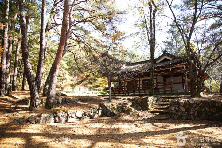 장수대 여행 추천 - 메고지고