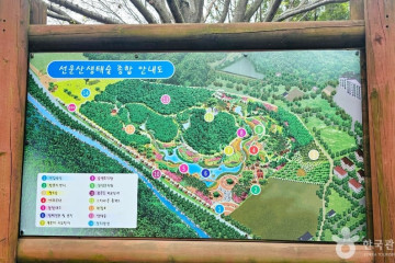 선운산 낙조대 여행 추천 - 메고지고