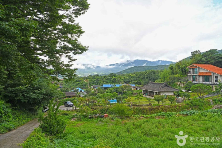 난동마을 여행 추천 - 메고지고