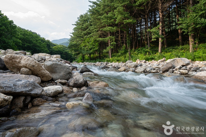 지장계곡 여행 추천 - 메고지고