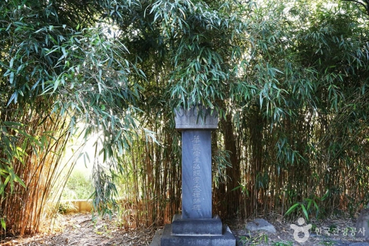 청량사(부산) 여행 추천 - 메고지고