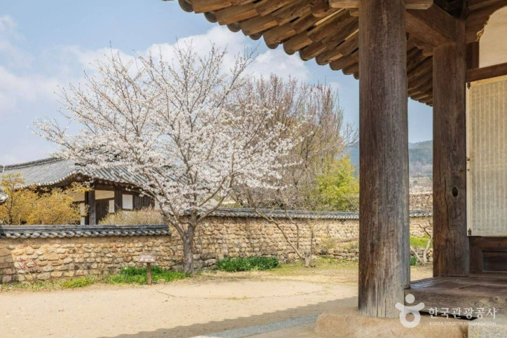 순천 낙안읍성 여행 추천 - 메고지고
