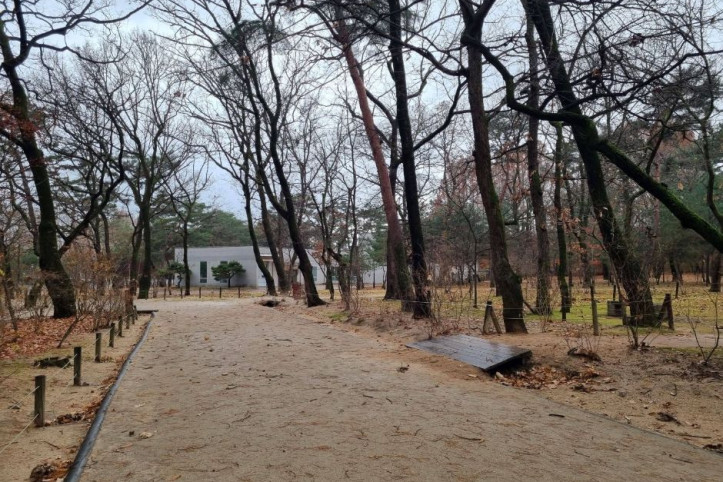 태릉강릉 여행 추천 - 메고지고