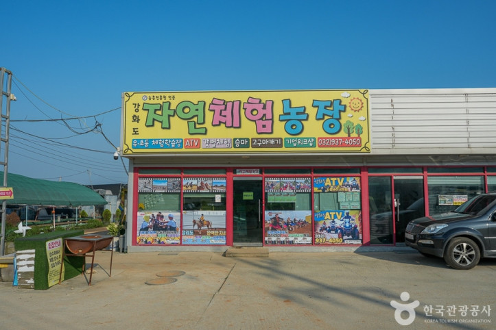 강화도 자연체험농장 여행 추천 - 메고지고