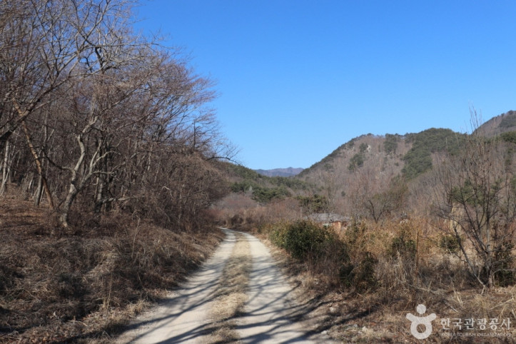 경주 왕의 길 여행 추천 - 메고지고