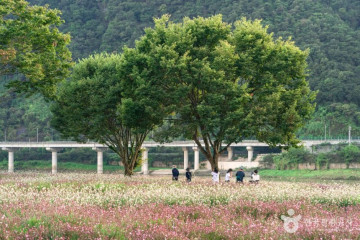 석문 여행 추천 - 메고지고