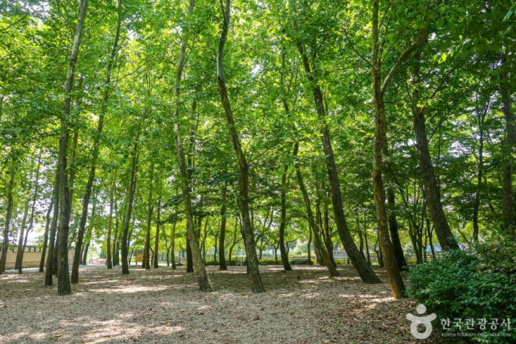 송산유원지 여행 추천 - 메고지고