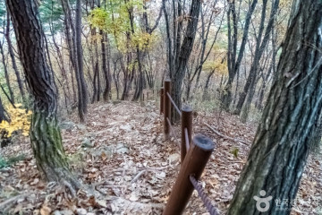 행복&피크닉 여행 추천 - 메고지고
