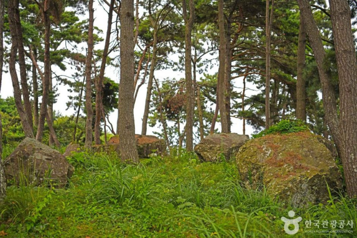 영광 성산리 지석묘군 여행 추천 - 메고지고