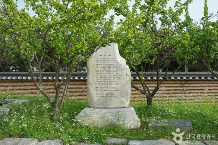 경인아라뱃길 매화동산 여행 추천 - 메고지고