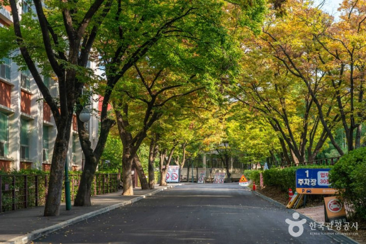 남산동 가톨릭타운 여행 추천 - 메고지고