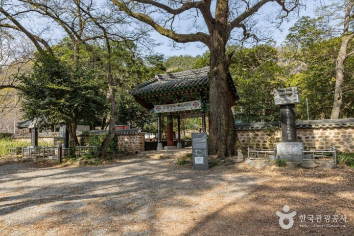 향림사(순천) 여행 추천 - 메고지고