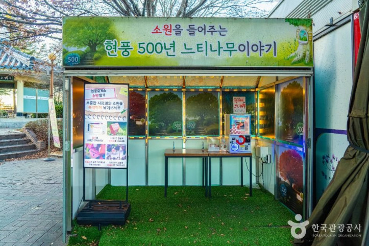 현풍 500년 느티나무 테마공원 여행 추천 - 메고지고