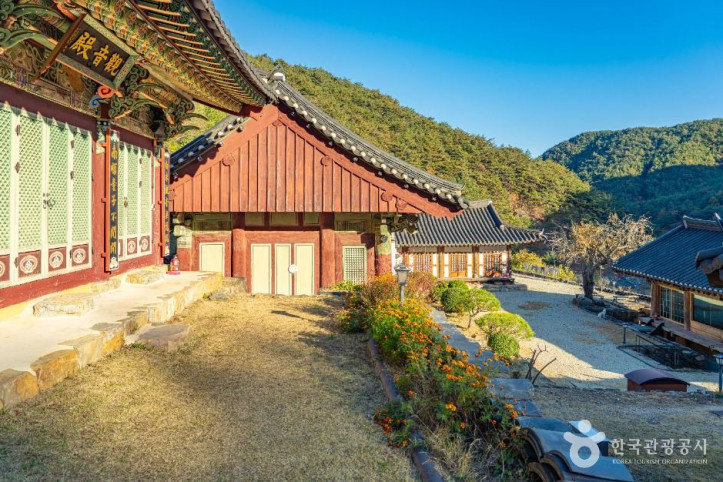 장육사 여행 추천 - 메고지고