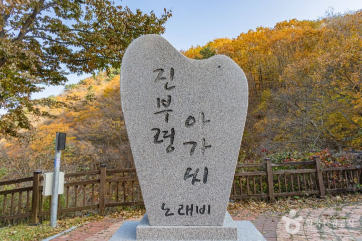 진부령 여행 추천 - 메고지고