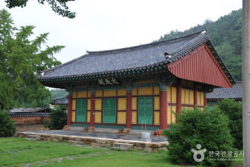 함평 향교리 느티나무·팽나무·개서어나무 숲 여행 추천 - 메고지고
