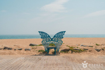 힐링턴리조트(힐링턴콘도) 여행 추천 - 메고지고