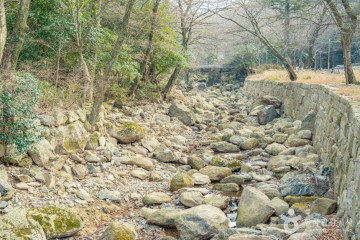 두륜미로파크 여행 추천 - 메고지고