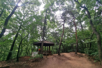 은평한옥마을 여행 추천 - 메고지고