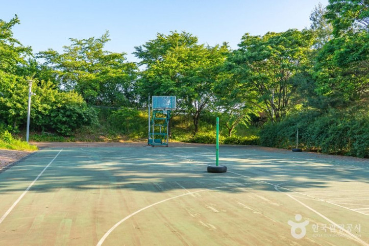 서탄금암체육공원 여행 추천 - 메고지고