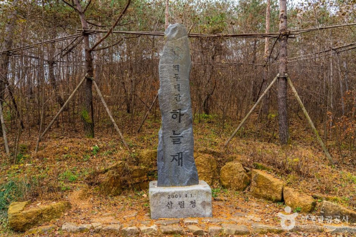 하늘재 여행 추천 - 메고지고