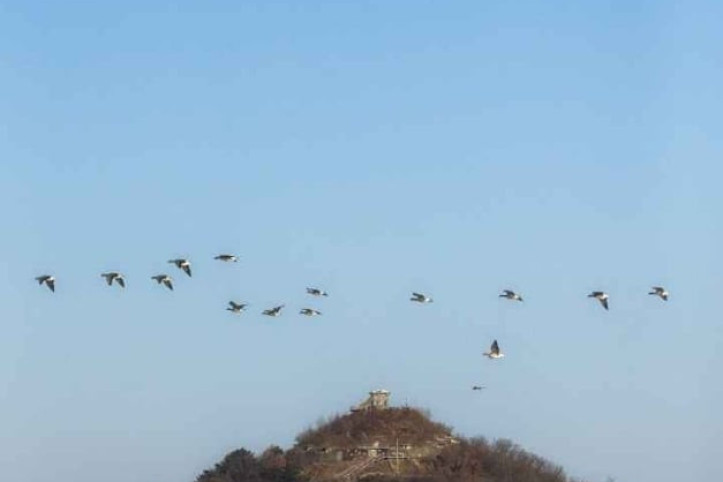 삽슬봉(아이스크림 고지) 여행 추천 - 메고지고